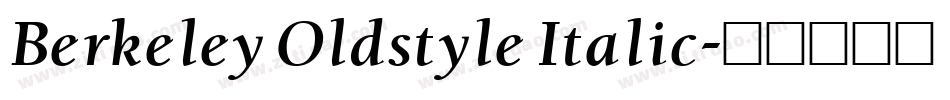 Berkeley Oldstyle Italic字体转换